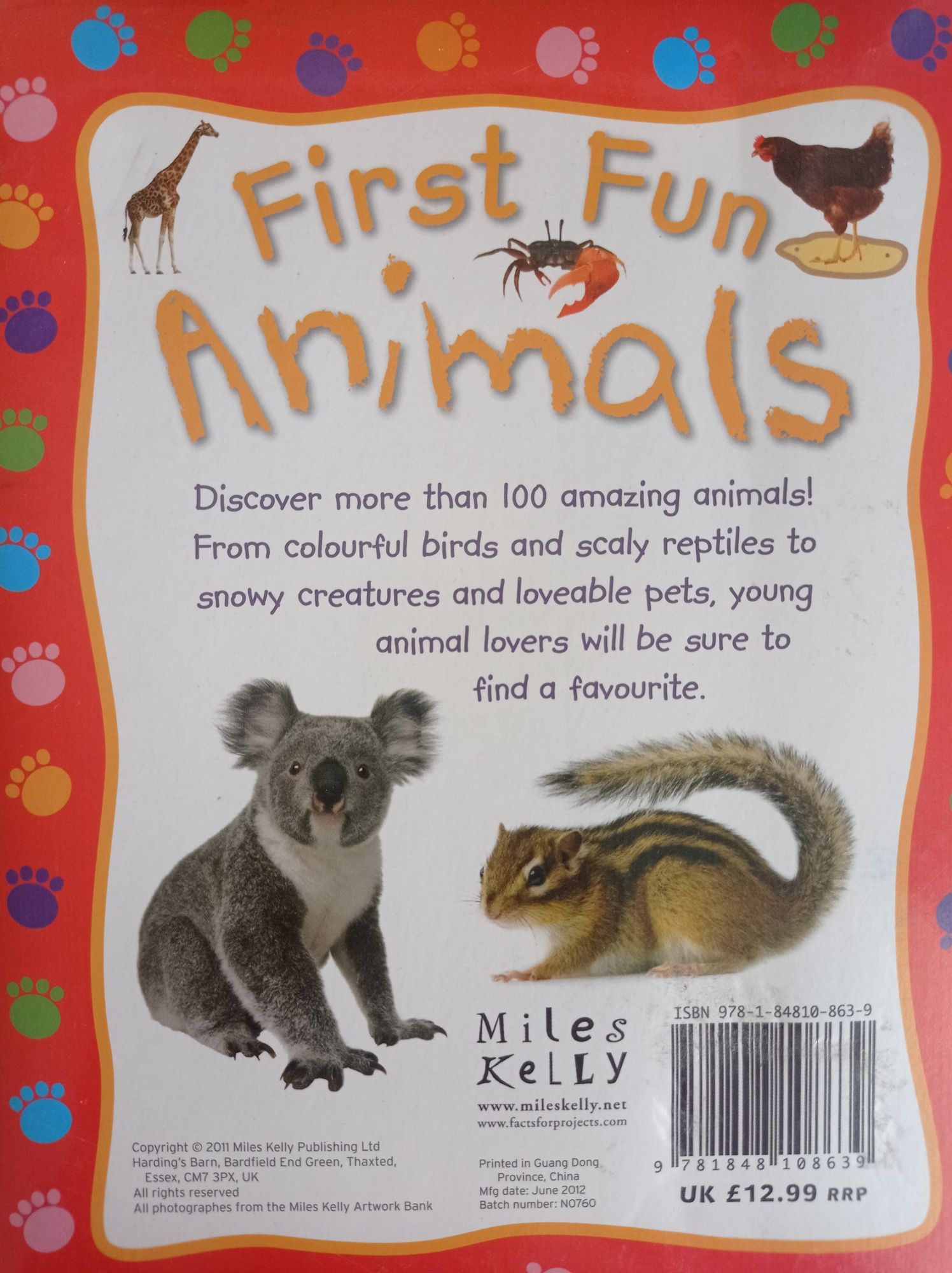 Książka obrazkowa po angielsku - First Fun Animals