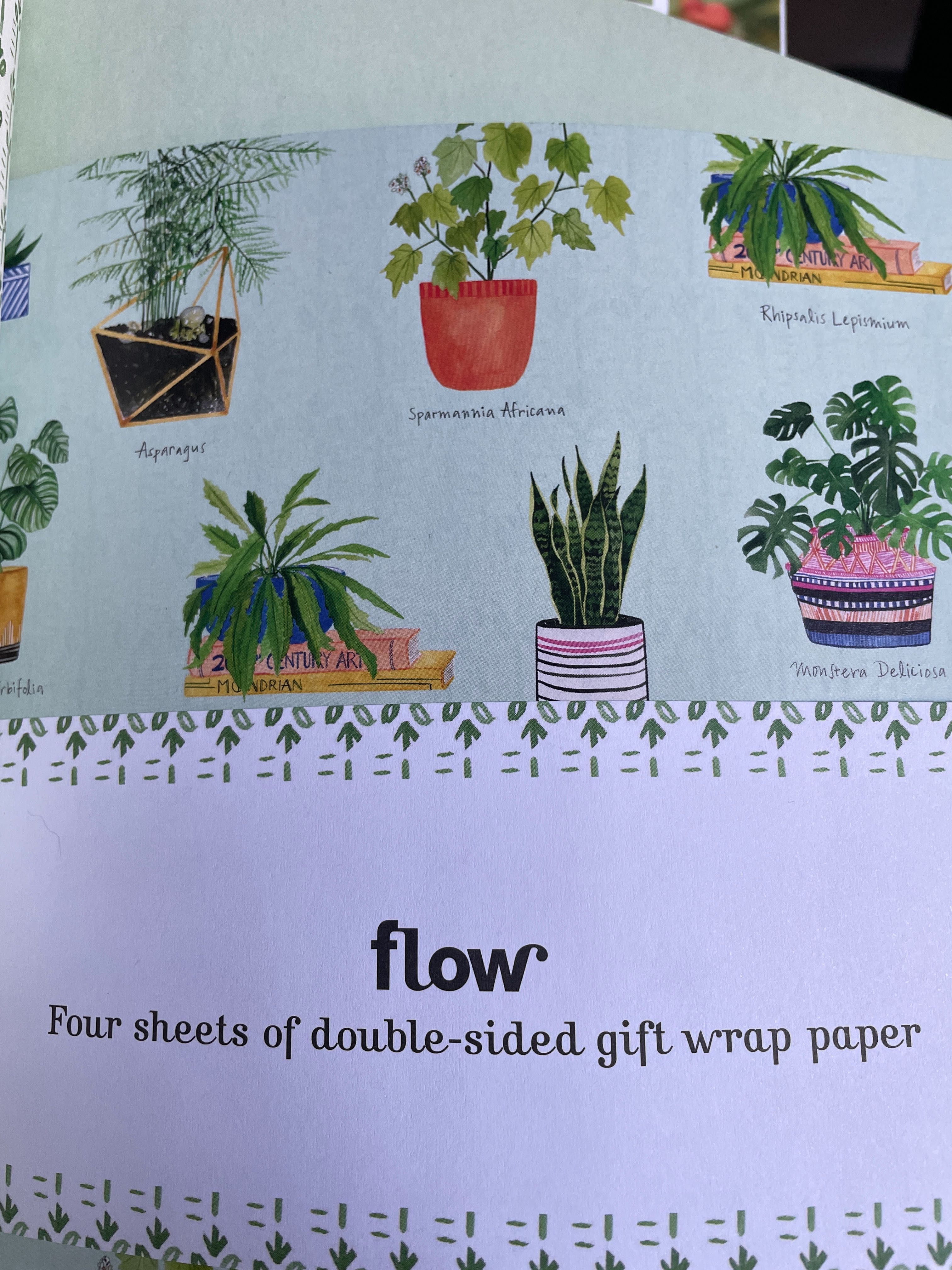 Flow, Issue 25. Wersja angielska.