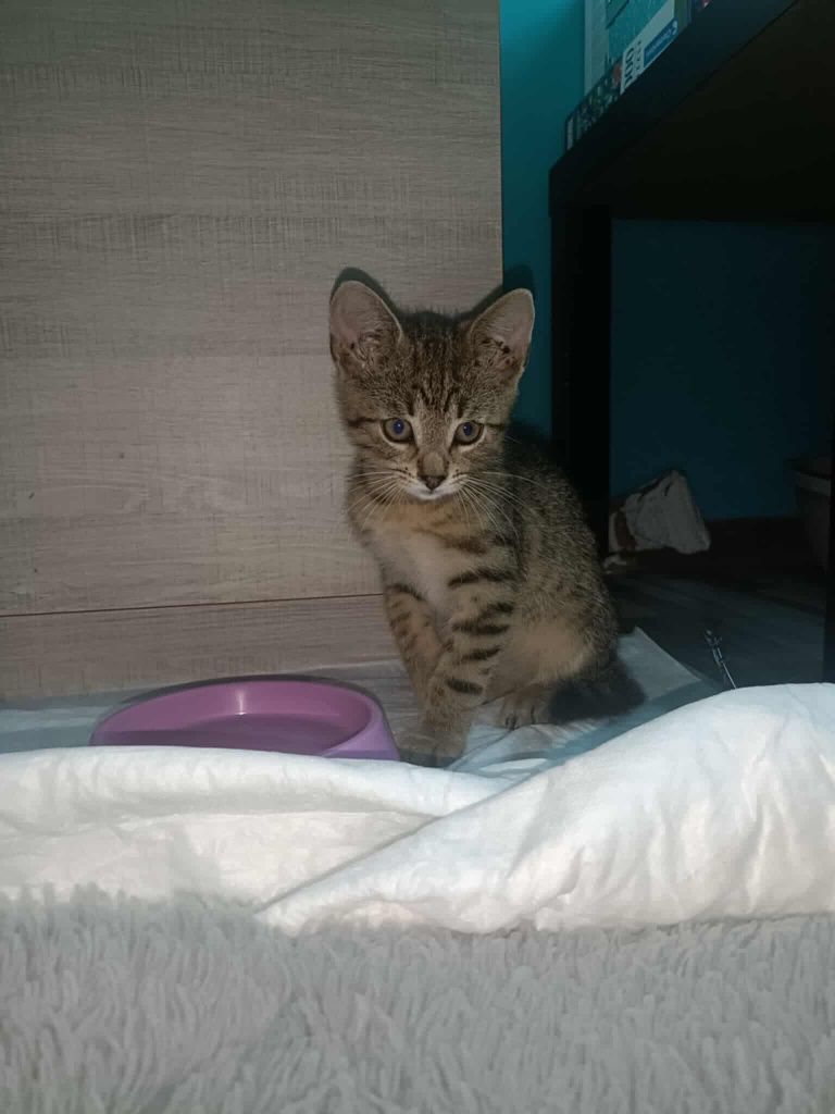 Eddie i Venom - razem lub osobno :)
