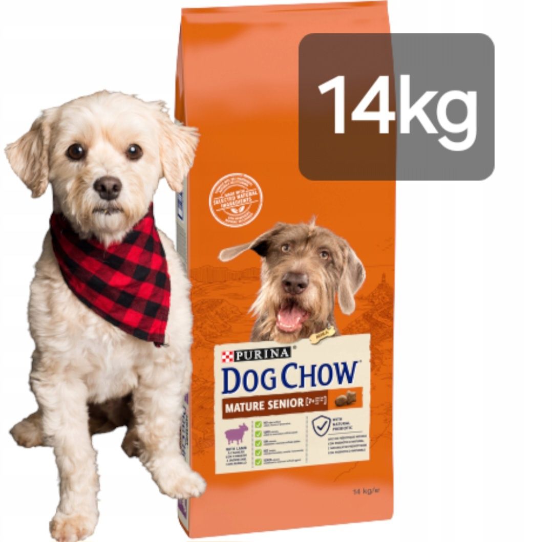 Purina Dog Chow 14kg + Gratis, Mature Senior Psy Starsze Karma Worek