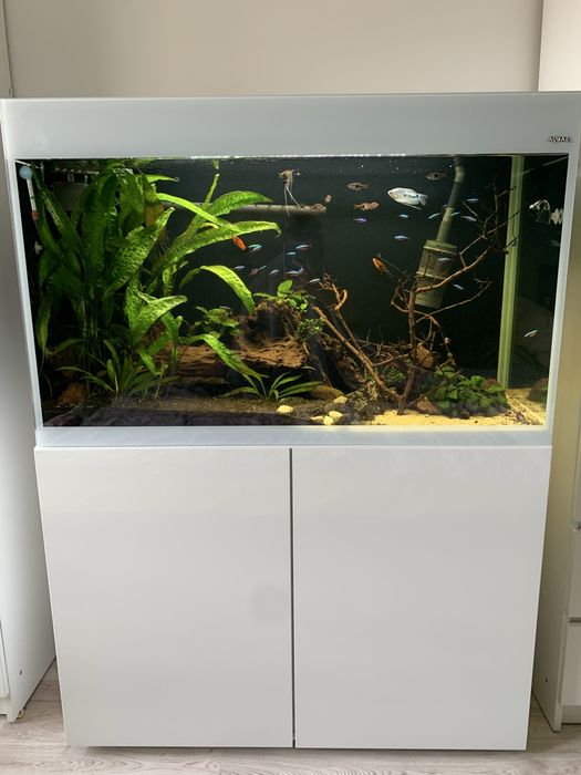 Akwarium Aquael GLOSSY 214L z szafką + pewne wyposażenie