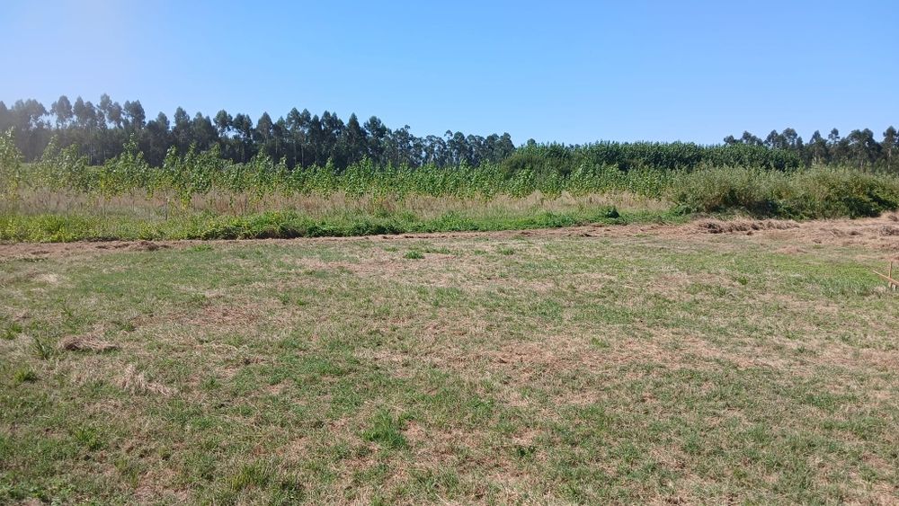 Terreno para construção