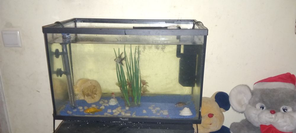 Aquario e maquina de aquecer agua