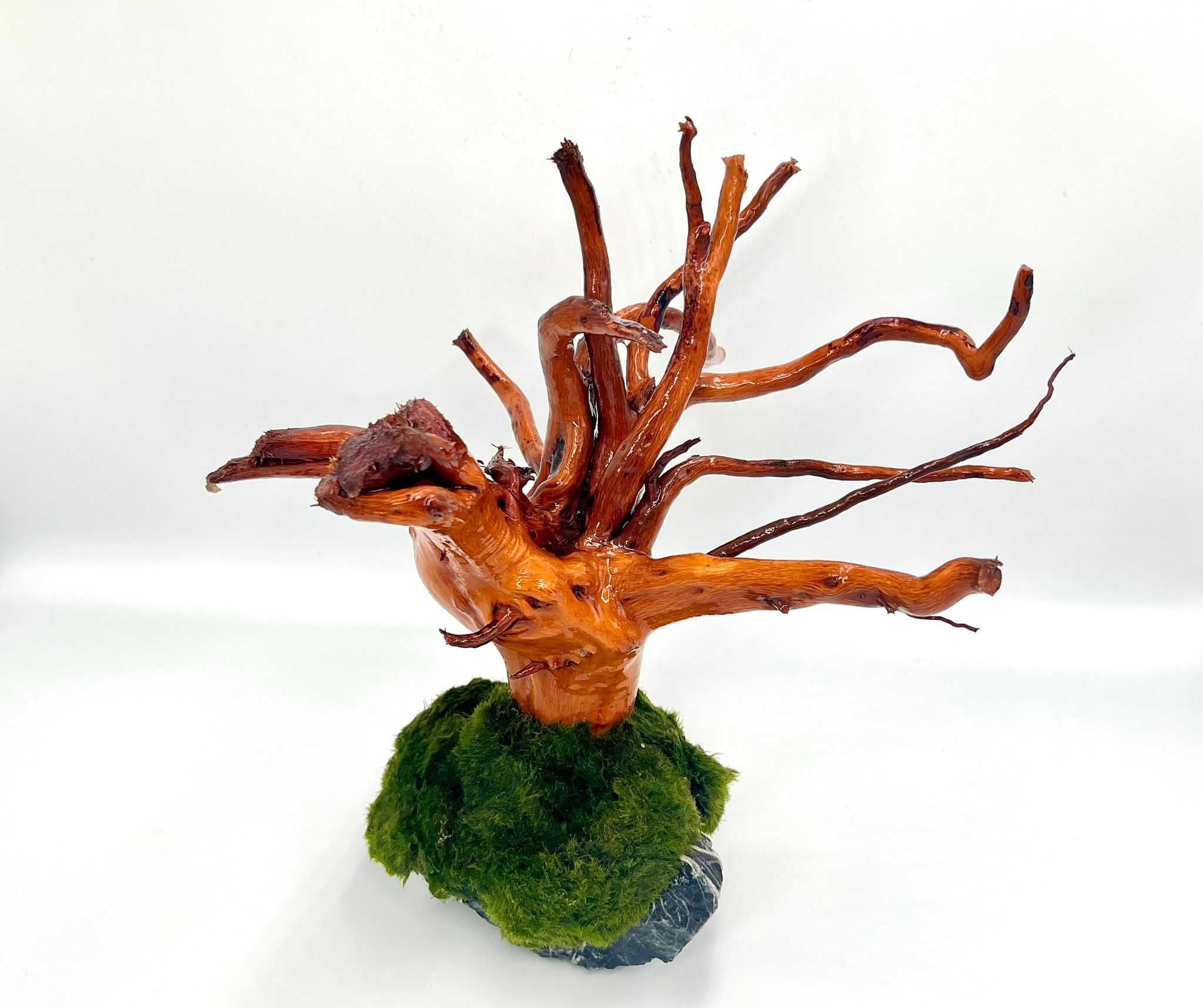 Piękna Aranżacja Do Akwarium Drzewko Bonsai