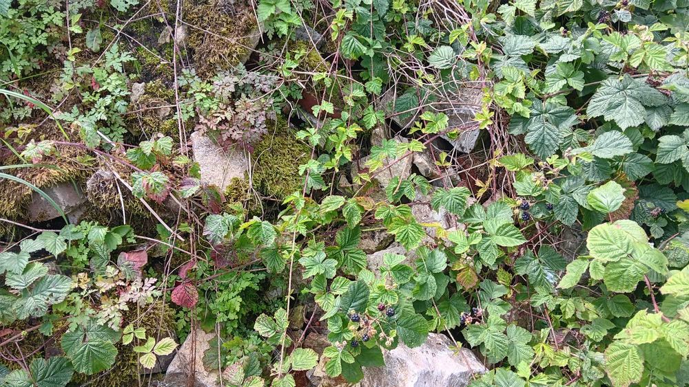 Kamień żółty, gruz.