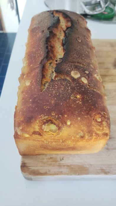 Pão Artesanal Massa Mãe