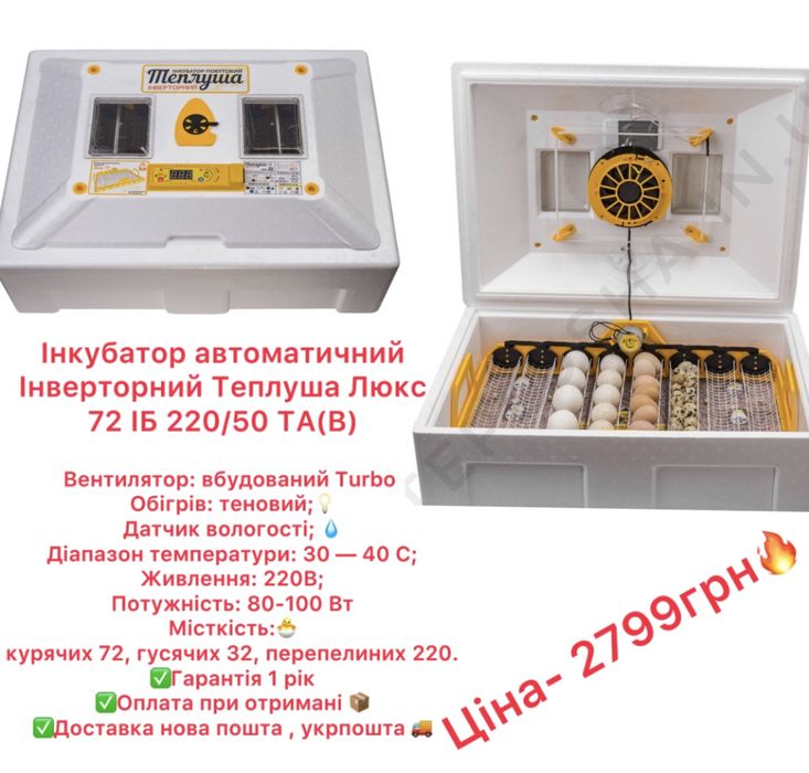 Інкубатори Теплуша , веселе сімейство