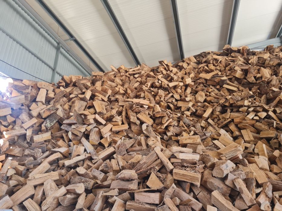 Lenha seca qualidade