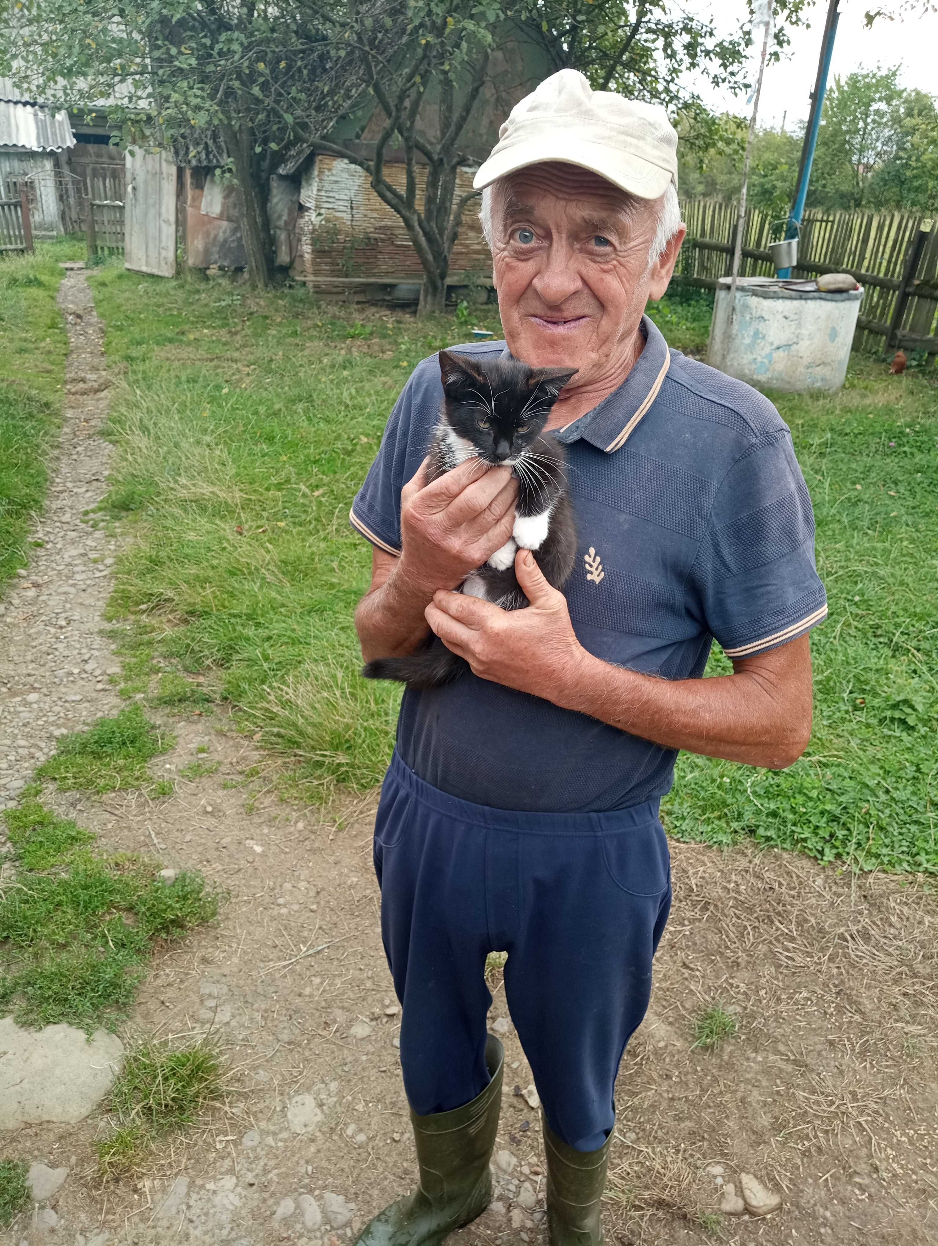 Віддам кошенят в добрі руки.
