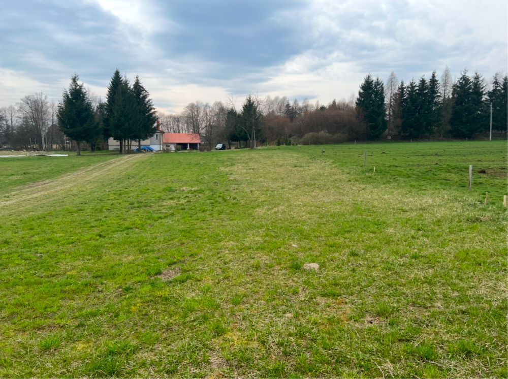 Dzialka budowlana Kalembina