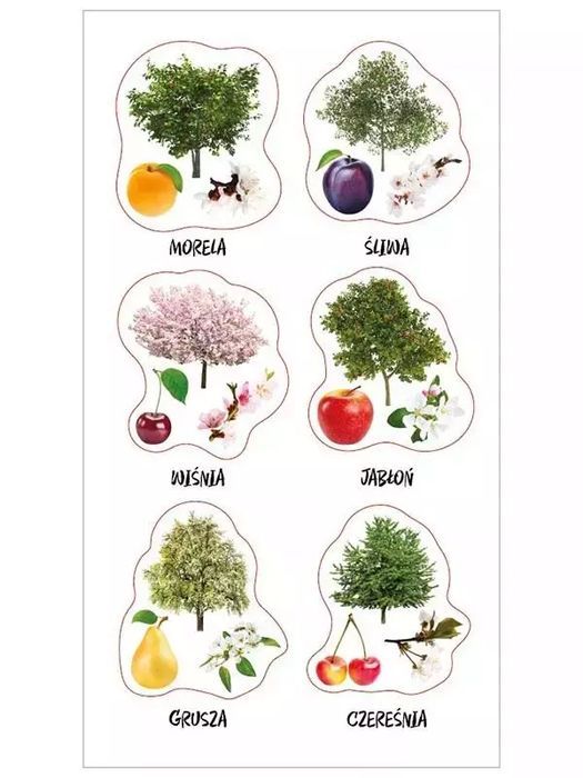 Naklejki Polski sad. Ranok-Creative