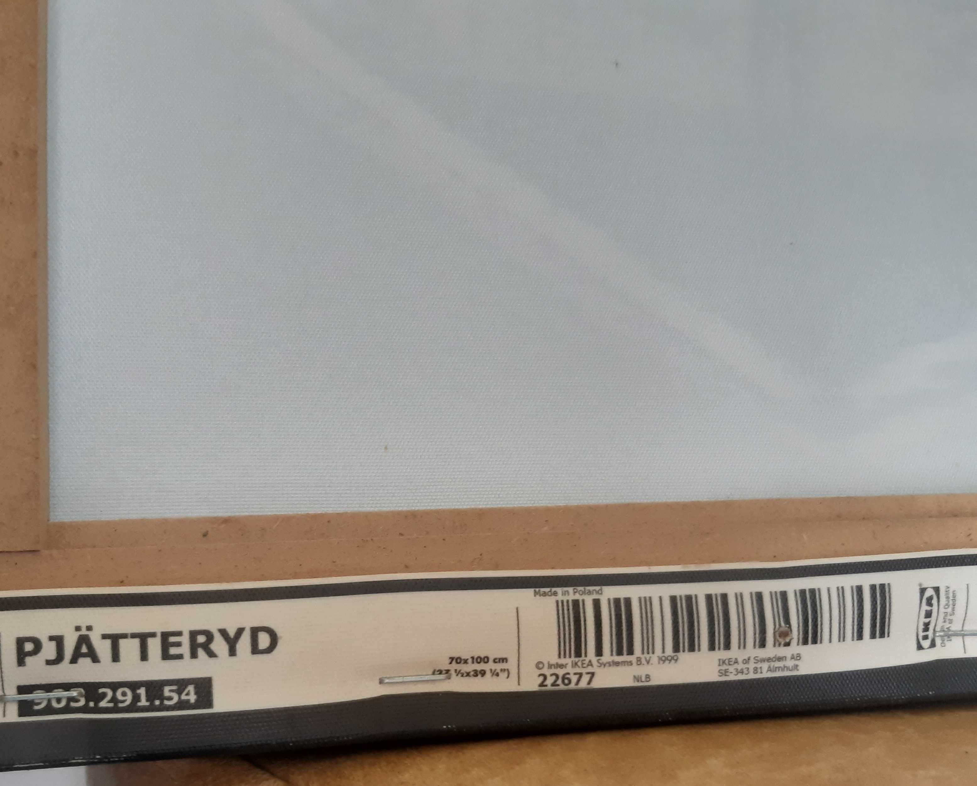 Quadro IKEA Pjatteryd Tela Impressa 100x70cm Barco no Lago