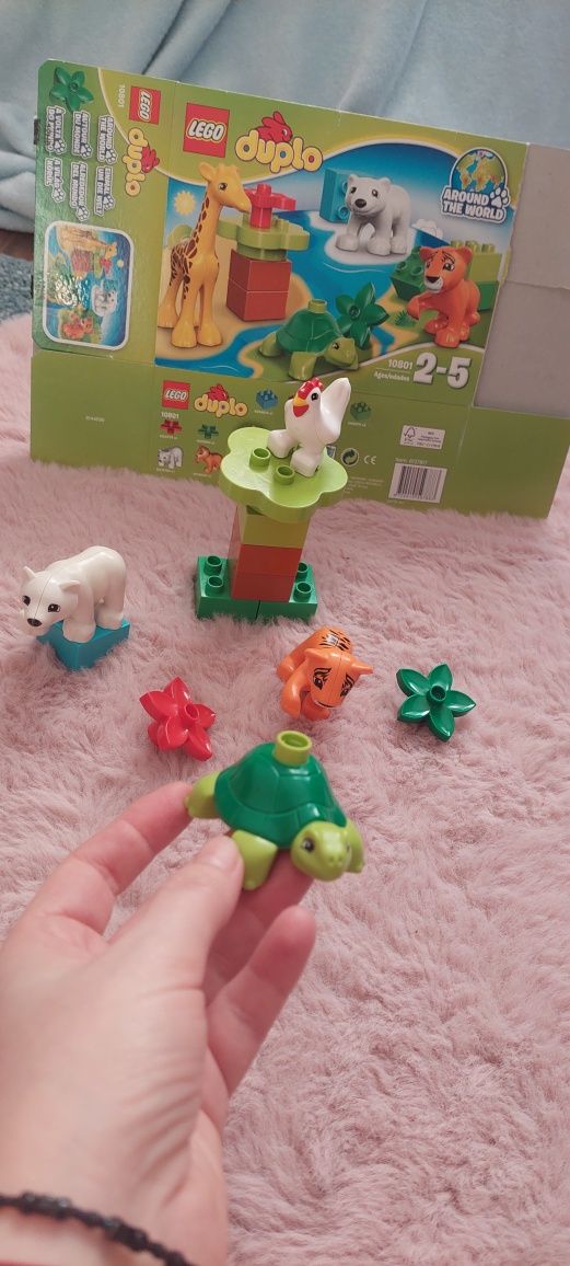 Klocki LEGO 10801 Duplo Zwierzątka tygrys żółw niedźwiedź polarny kura
