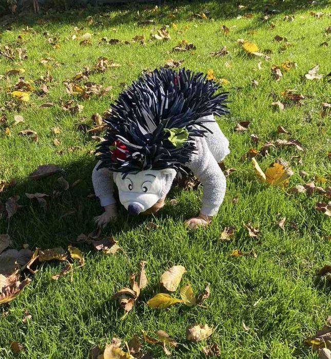 Костюм  їжачка 98-104