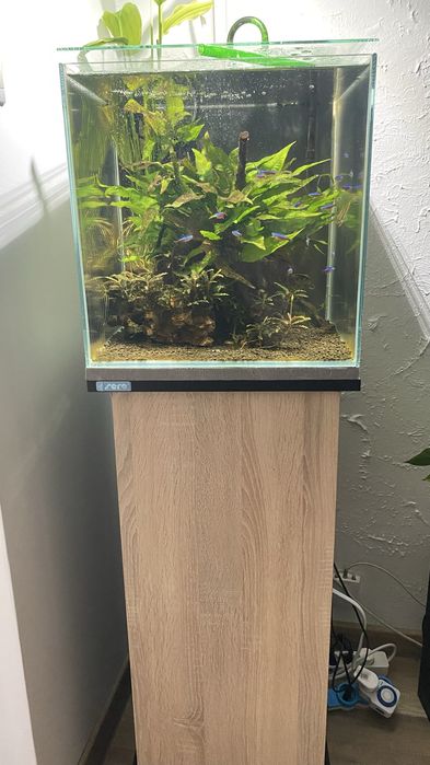 Zestaw optiwhite 54 L