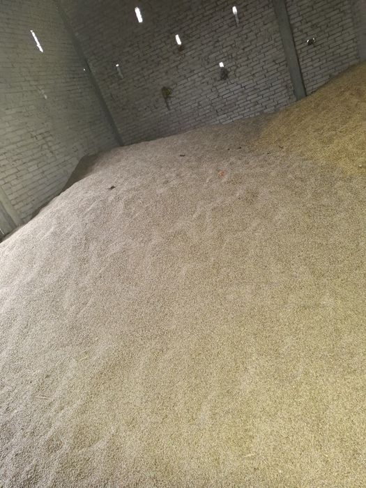 Sprzedam słomę , siano, sianokiszonke i zboże zyto