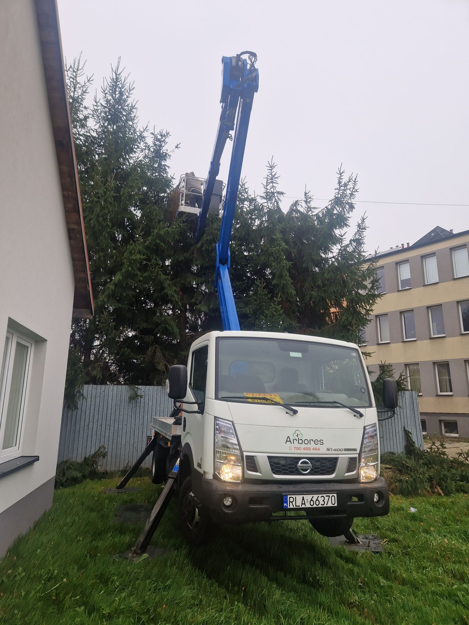 Frezowanie pni, wycinka drzew, karczowanie, mulczowanie, usuwanie pni