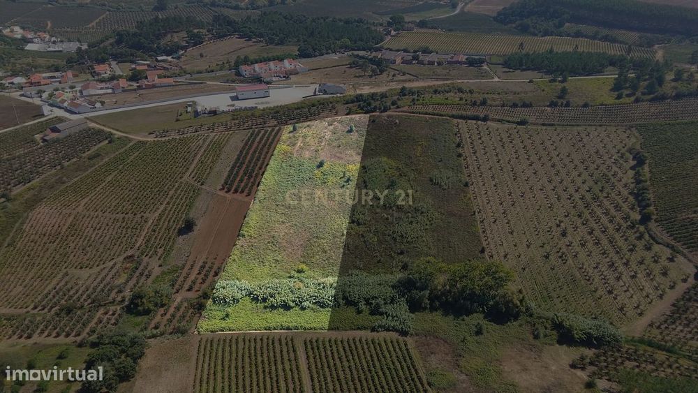 Terreno Rústico de 10.200 m² à Venda na Portela, Bombarral – Ideal par