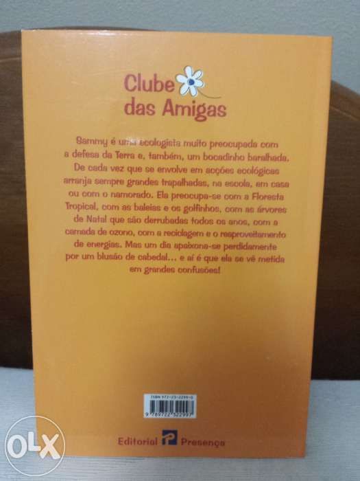 Livros "Clube das Amigas"