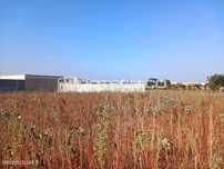 Terreno Urbano c/ 855m2 – Glória e Vera Cruz