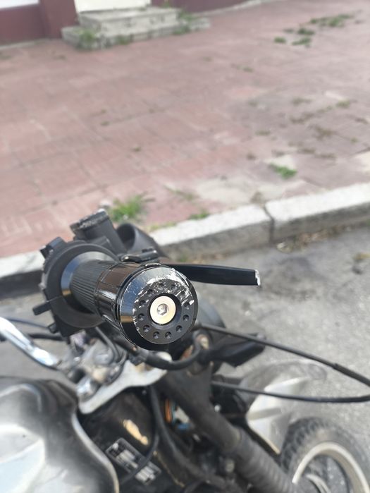 Mustang dingo 125