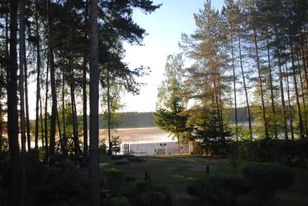 Od 28.08.2024 wolne