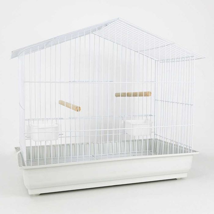 Gaiola para Ring neck, caturras