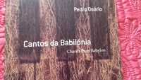 Cantos da Babilónia - Pedro Osório CD