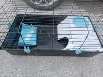Jaula para coelhos