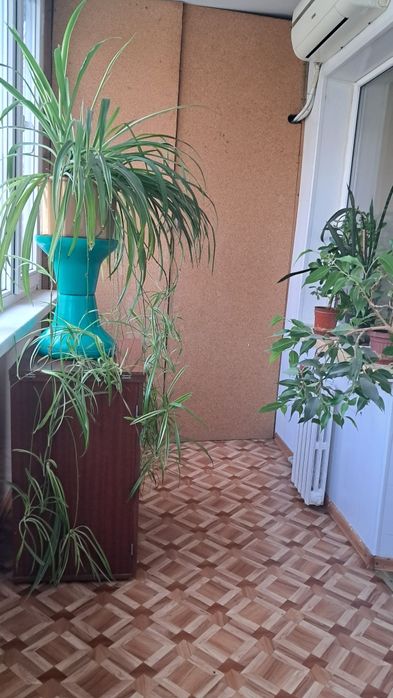 Сдам посуточно 1 комн. кв Генерала Петрова/Варненская /паркГорького
1