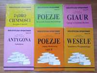 Opracowania lektur szkolnych