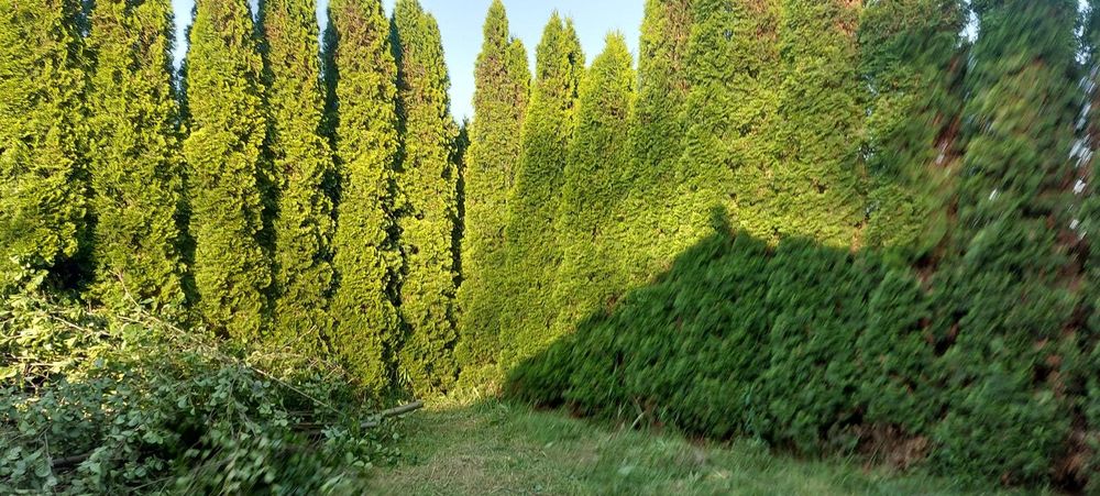 Dom jednorodzinny w budowie w Chudowie