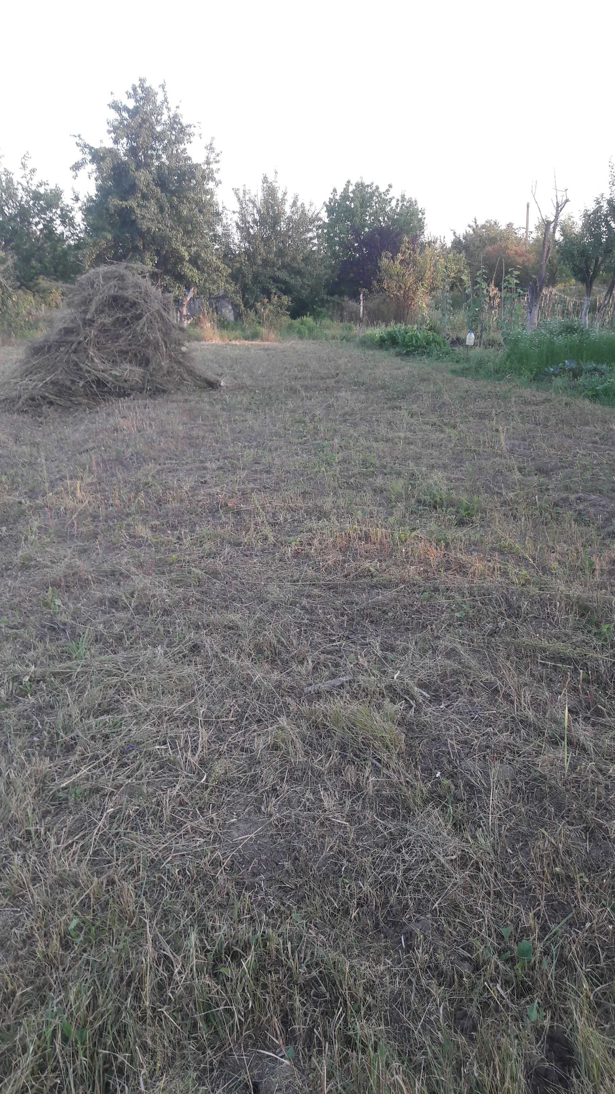 Дачна ділянка на масиві Лаврів