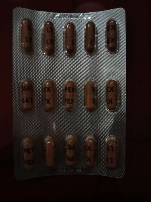 Lypex dla psa i kota