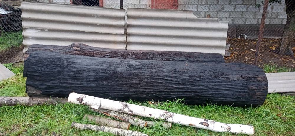 Продам дуб морений.