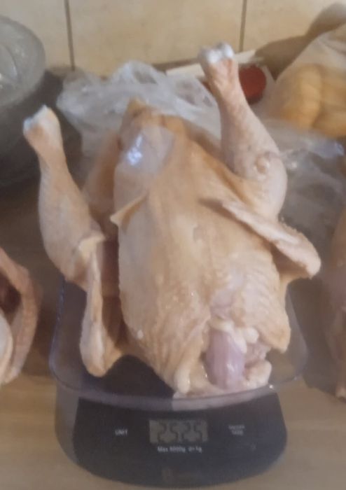 Tuszki kurczaka domowego - brojlery swojskie bez antybiotyków