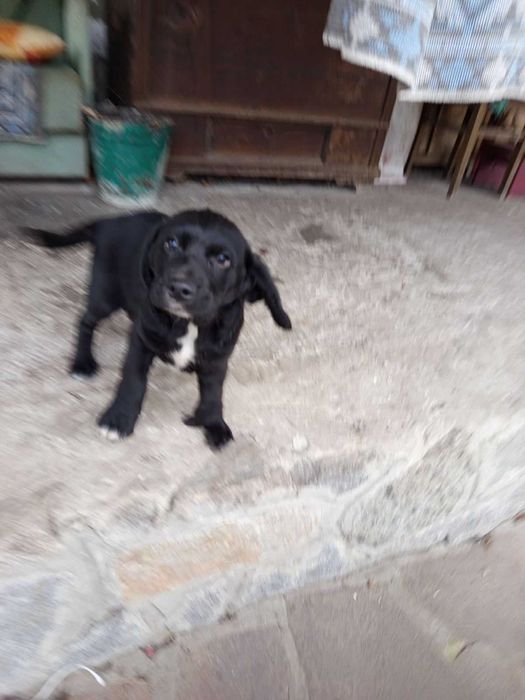 Дівчинка красуня три місяці