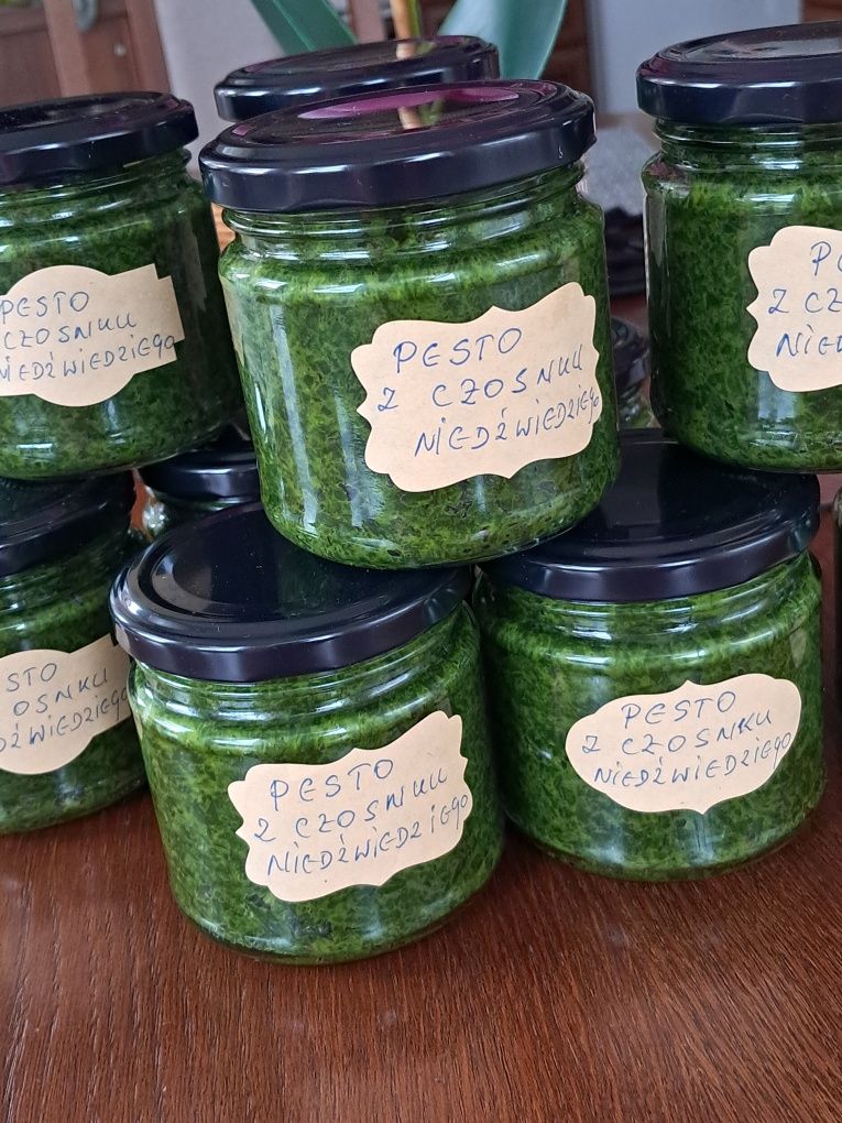 Pesto z czosnku niedźwiedziego 10x200 ml