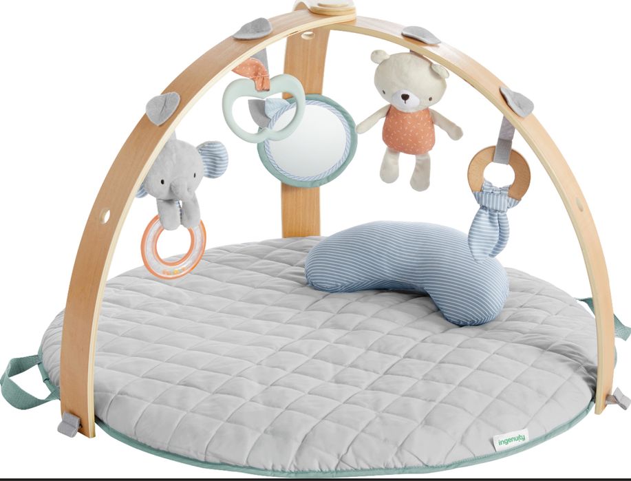 Розвиваючий килимок Ingenuity Cozy Spot