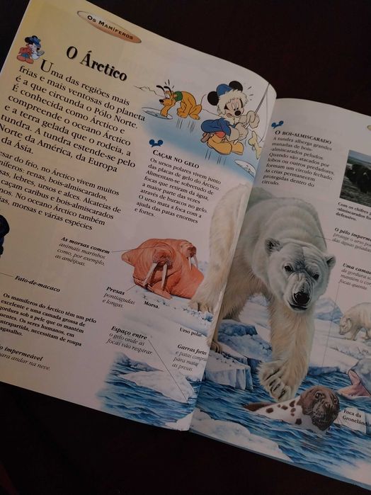 O Maravilhoso Mundo do Conhecimento, Os Mamíferos, Disney