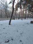 Продам ділянку 10 соток . Сосновий берег ( обухівка ).