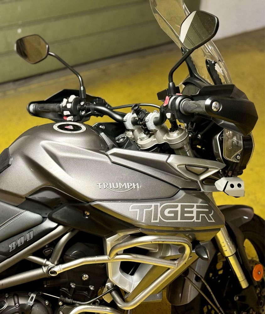 Tiger XRT 800 - Triumph - 2019