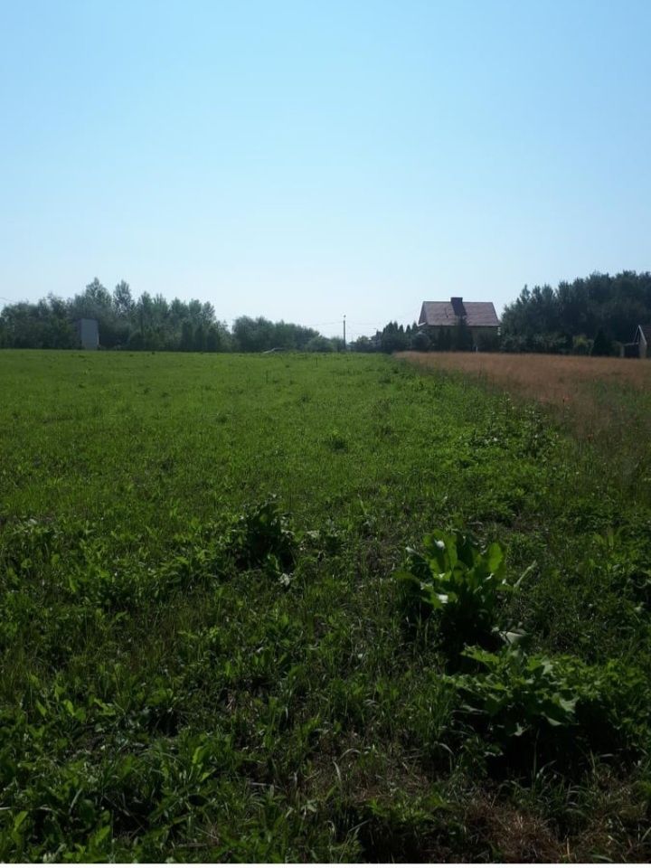 Sprzedam działkę 10,7 a z WZ, Tarnobrzeg osiedle Wielowieś ul. Nowa