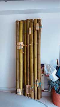 Canas em bambu como novas