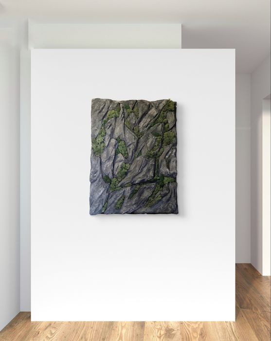 Картина интерьерная скала, мох, горы.