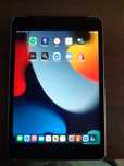 Ipad mini 4 64gb