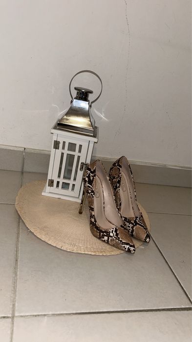 Sapatos castanhos padrao cobra