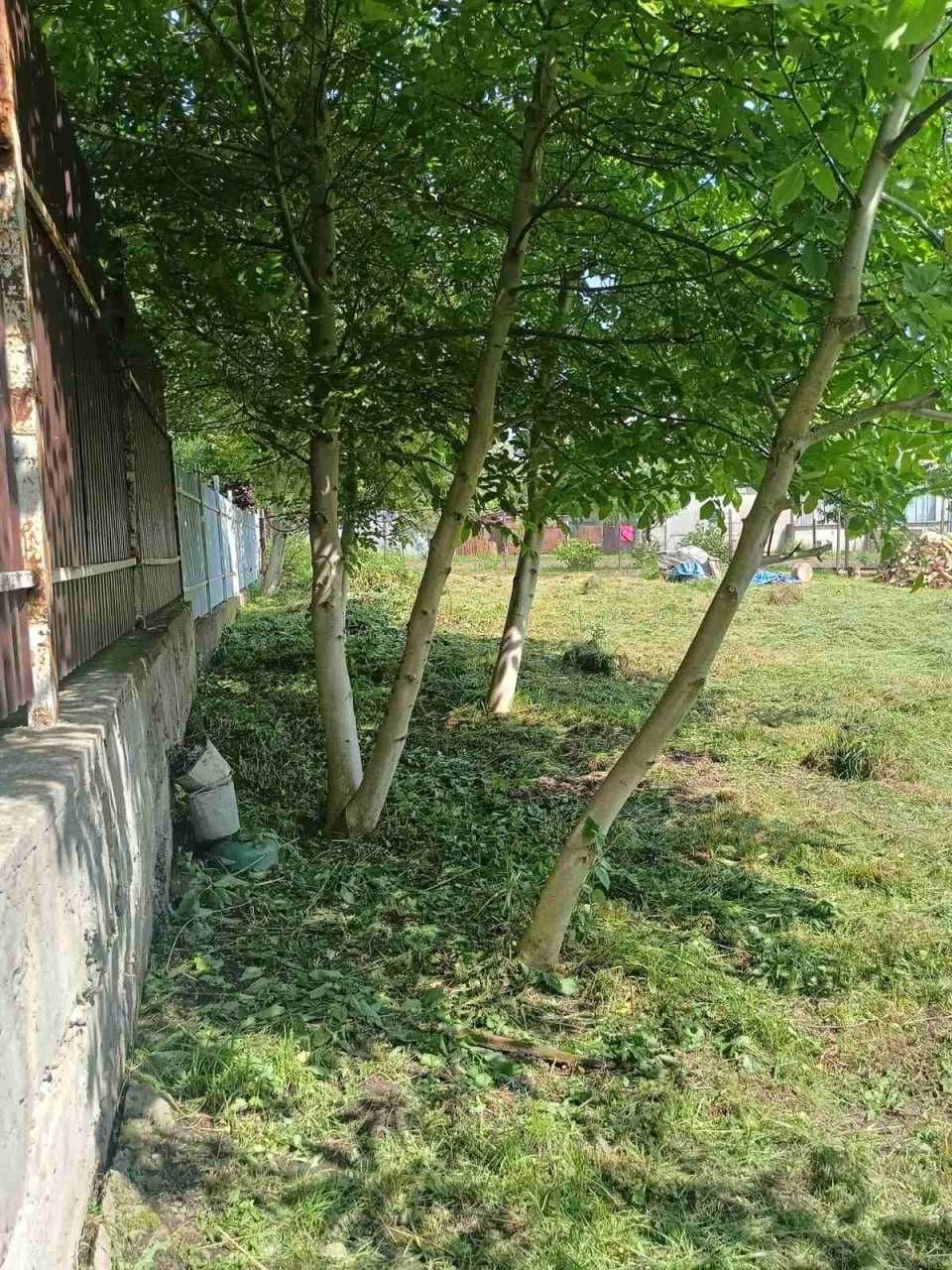 Продаж земельної ділянки Солонка