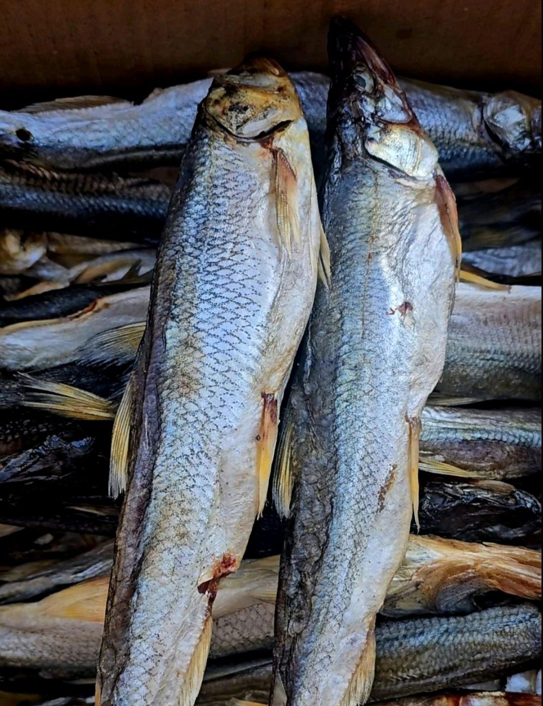 Корюшка ікряна 25-30 см, 1 кг