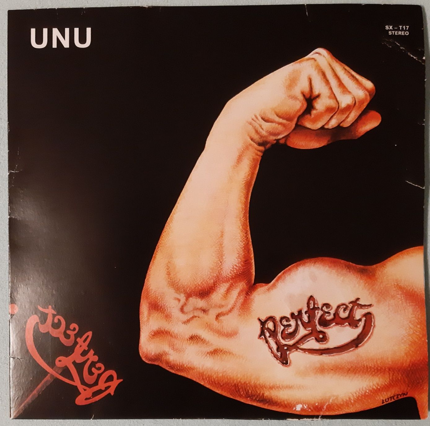 Płyta winylowa Perfect UNU